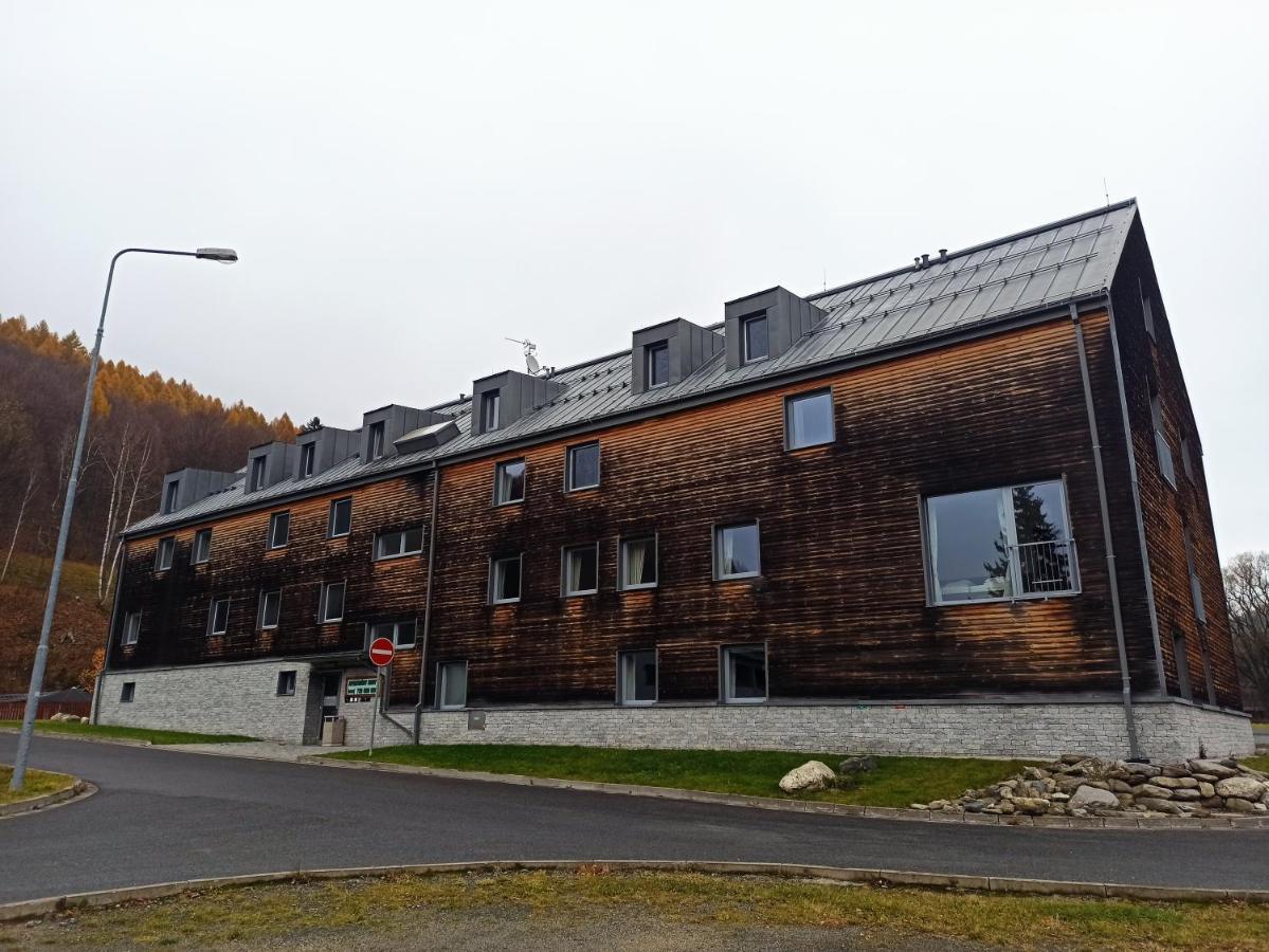Апартаменты Mezonetovy Apartman Kouty Nad Desnou Лоучна-над-Десноу Экстерьер фото
